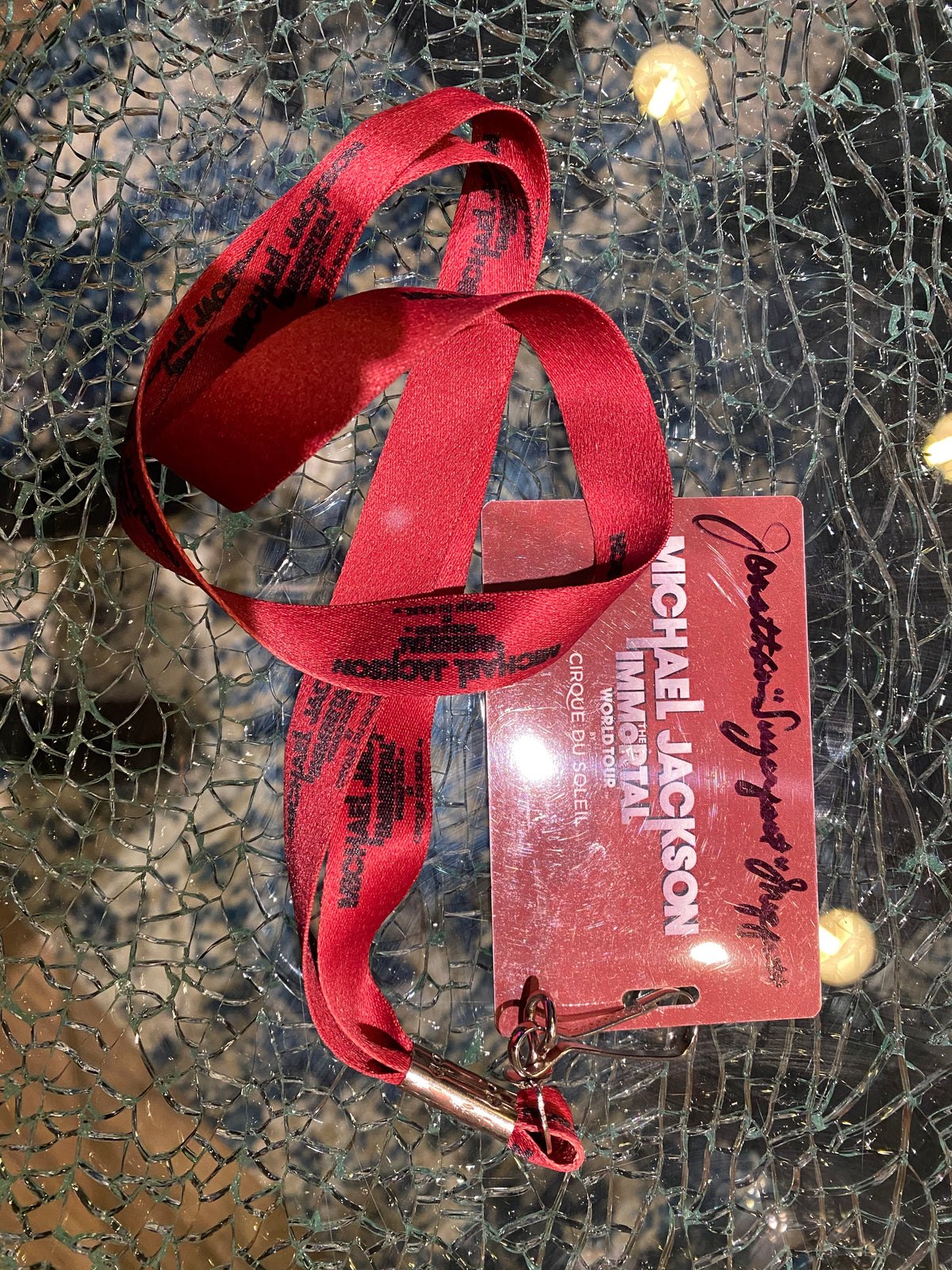 Signed &quot;Immortal Tour&quot; Pass Collectible